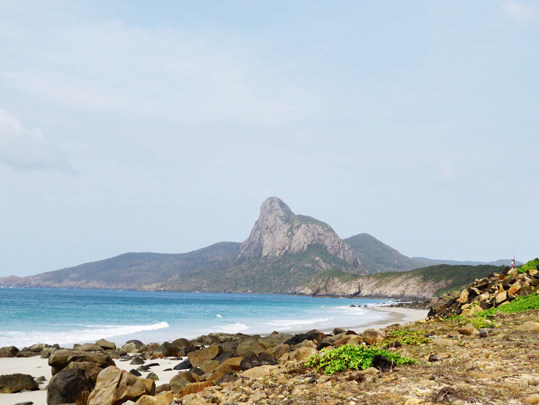 Công Ty TNHH Thương Mại Dịch Vụ Đông Nam Tourist