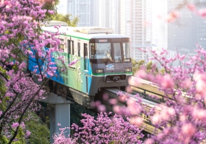 KHÁM PHÁ TRÙNG KHÁNH – THÀNH PHỐ 8D