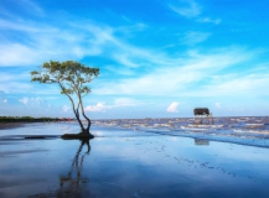 ĐƯỜNG VỀ GÒ CÔNG